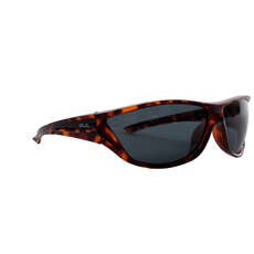 Gul Cz Reagieren Schwimm Sonnenbrille - Tortoise Shell / Braun